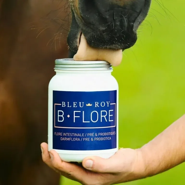 Bleu-Roy B-Flore