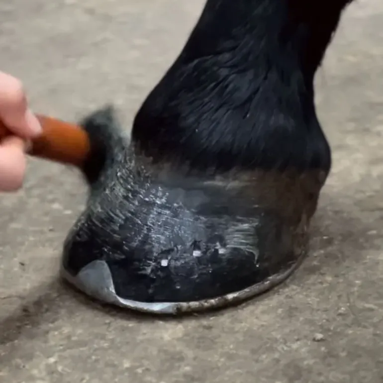Bleu-Roy Hoof Cream