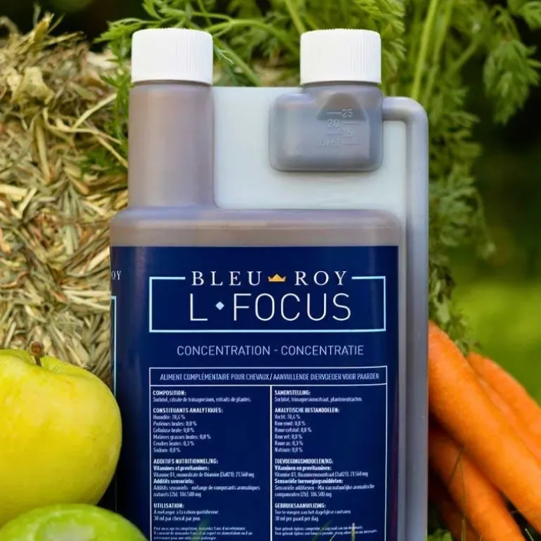 Bleu-Roy L-Focus