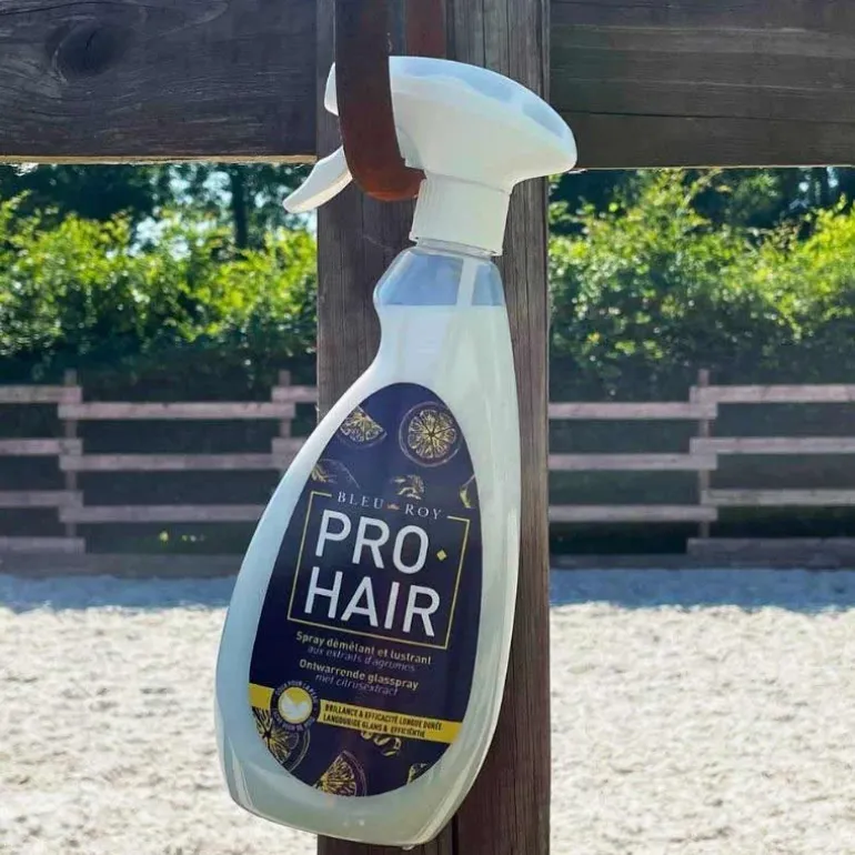 Bleu-Roy Pro Hair