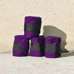 Cheval Energy Bande de Repos (set de 4) - Violet