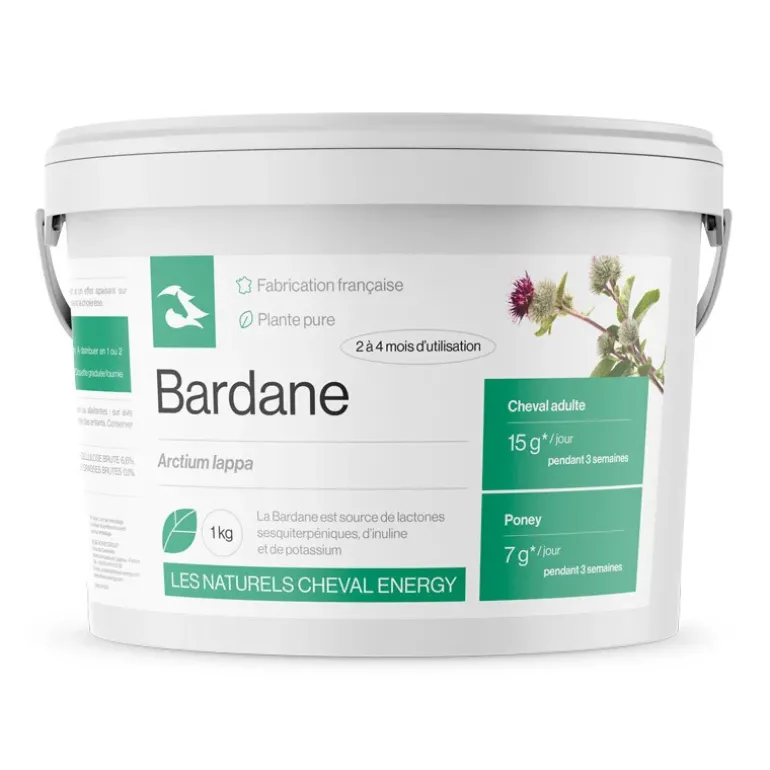 Cheval Energy Bardane