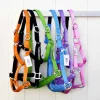 Cheval Energy Licol en Nylon - Bleu Roi