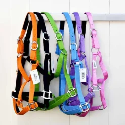 Cheval Energy Licol en Nylon - Noir