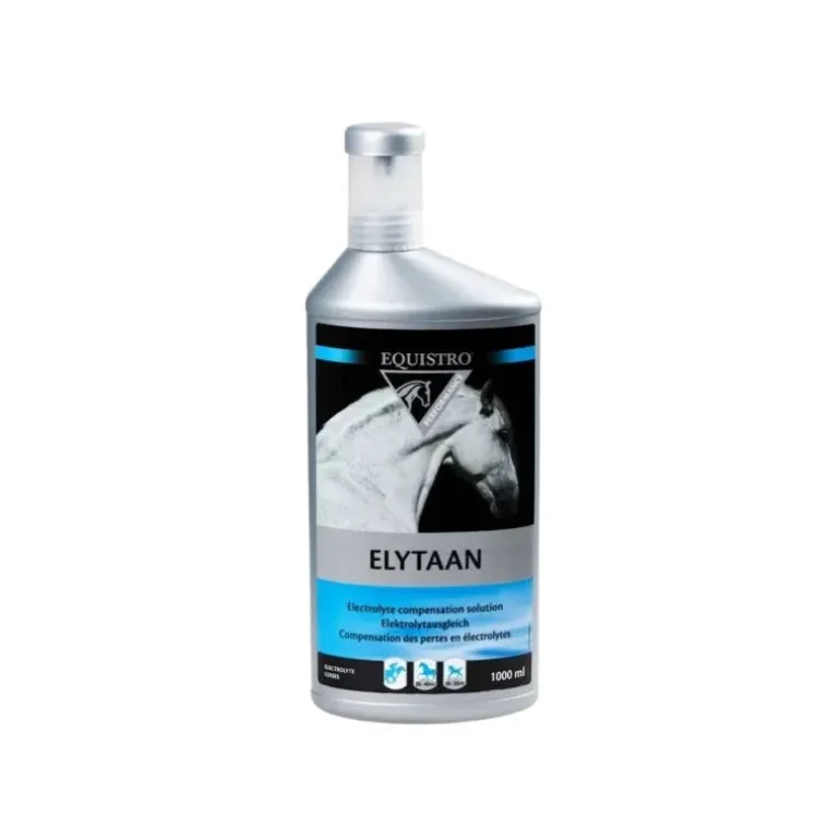Equistro Elytaan