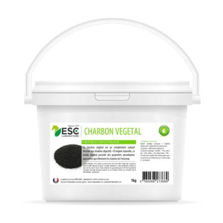 ESC Laboratoire Charbon Végétal