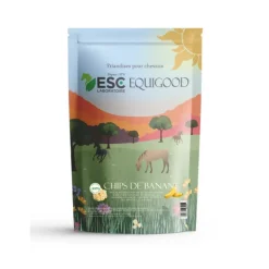 ESC Laboratoire Chips de Banane