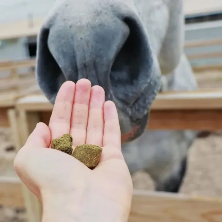 Hilton Herbs Herballs n°3 Framboisier & Guimauve Friandises Cheval