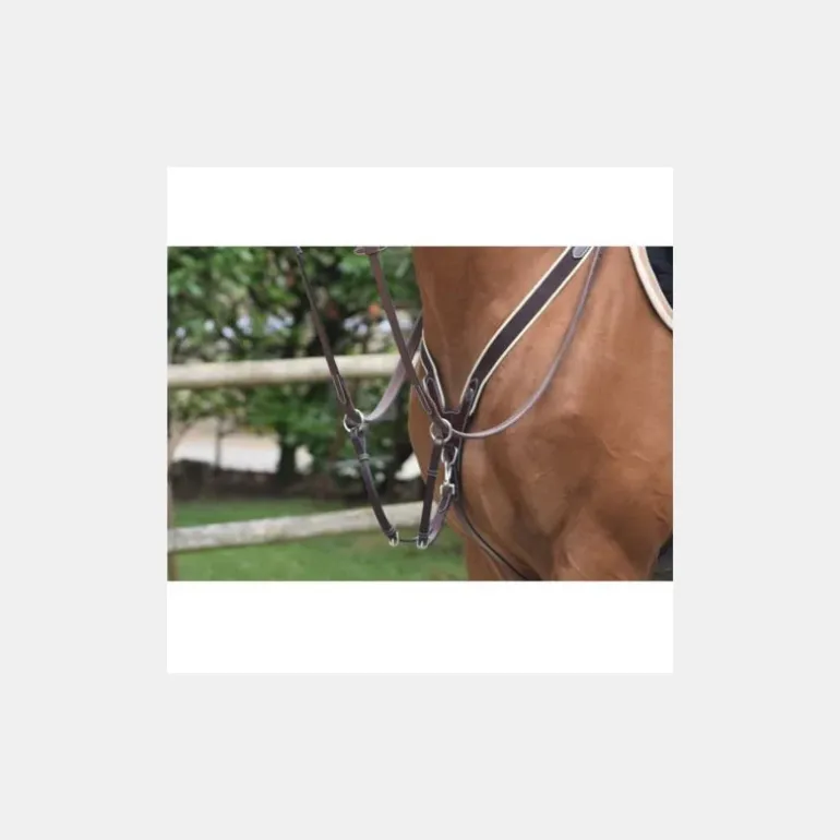 Jump'In Collier de Chasse Élastique et Martingale Noir