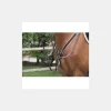 Jump'In Collier de Chasse Élastique et Martingale Noisette