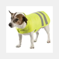 Manteau Chien Equitheme Visibilité