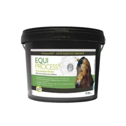 MSD Equi Process