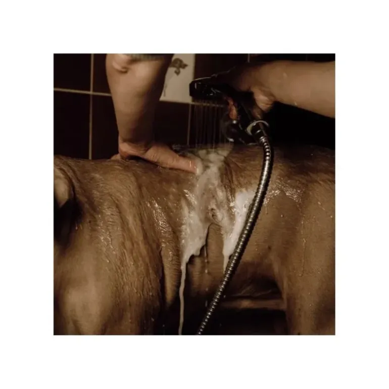 Nellumbo Shampoing Chien Poudre Moussant