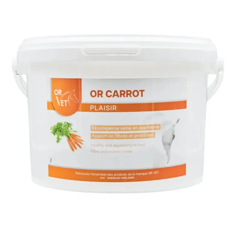Or Vet Or Carrot Friandise Cheval