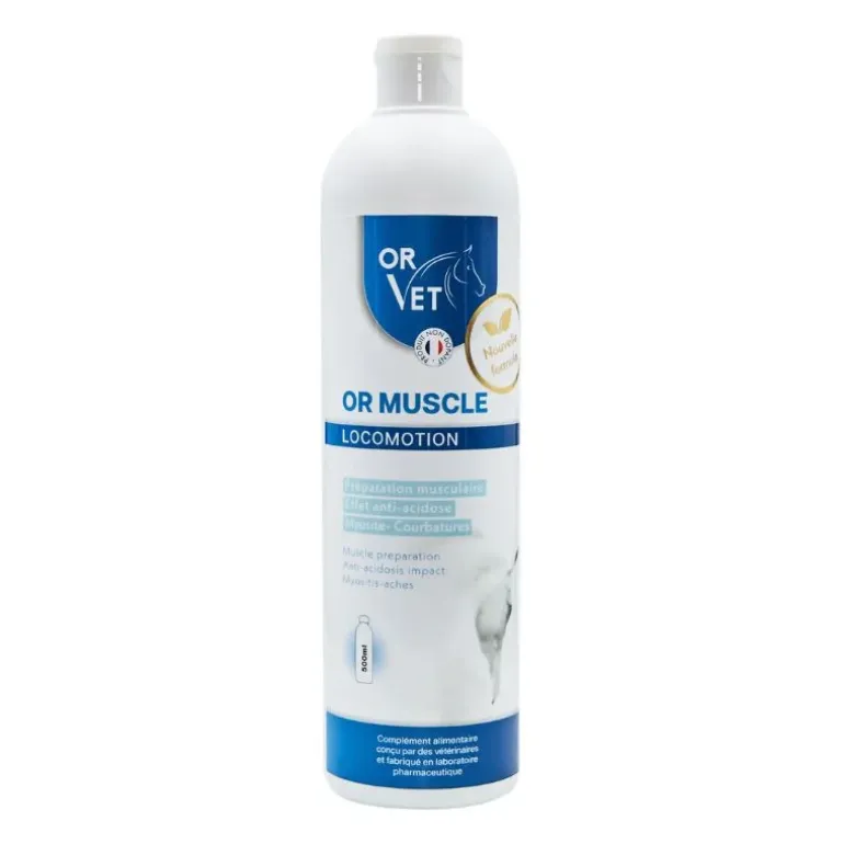 Or Vet Or Muscle