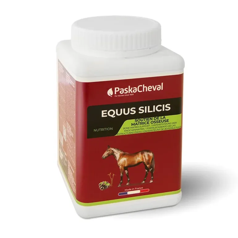 PaskaCheval Equus Silicis