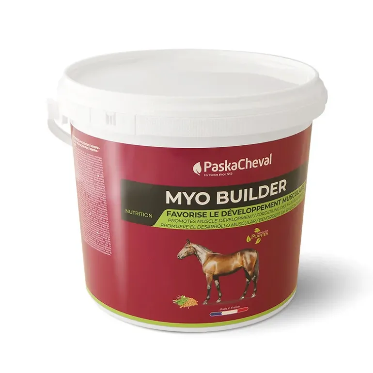 PaskaCheval Myo Builder