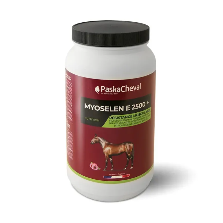 PaskaCheval Myoselen E2500+