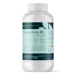 Phytology VetCare Curcumine 85 Curcuma Cheval