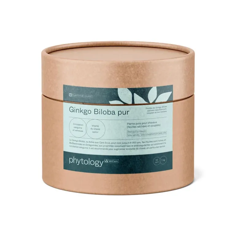Phytology VetCare Ginkgo Biloba pur Cheval