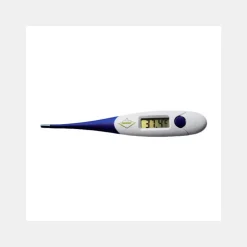 Thermomètre Électronique
